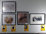 Фотографии экспозиции выставки. 1.03.2021 